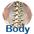 body part link picture
